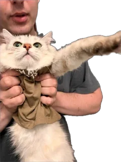 Sticker Кешка - 8