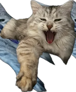 Sticker Кешка - 4