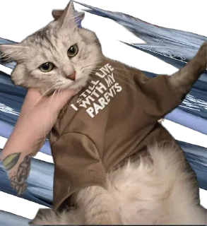 Sticker Кешка - 2