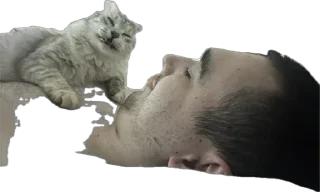 Sticker Кешка - 7