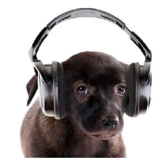 Стикер Friendly dogs - 10