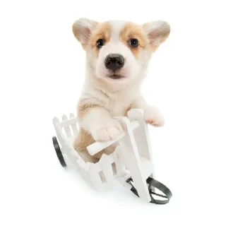 Стикер Friendly dogs - 1