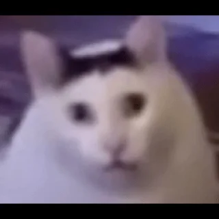 Sticker EbiciePirogi - 8