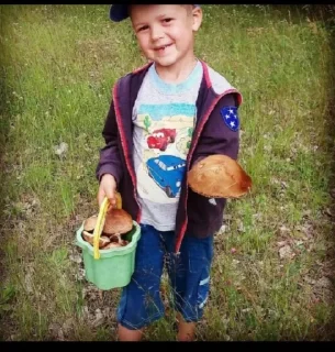 Sticker Френдс - 8