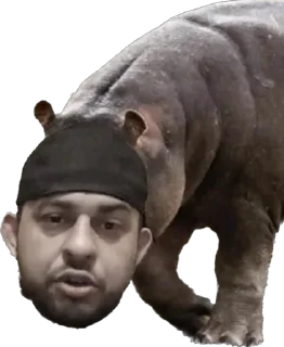 Sticker Фрик шоу - 3