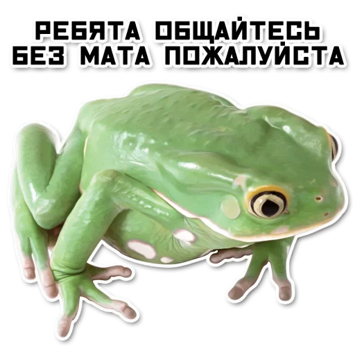 Больше стикеров @StickersDVM2 - 
