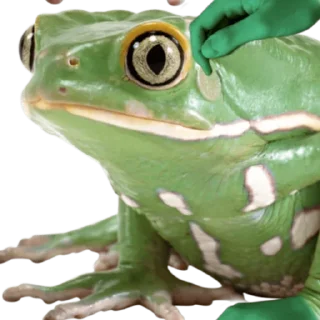 Стикер Больше стикеров @StickersDVM2 - 9