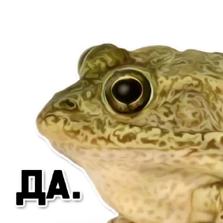 Стикер Больше стикеров @StickersDVM2 - 8