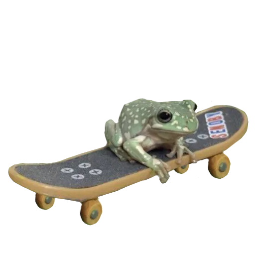 frog skateboard toy