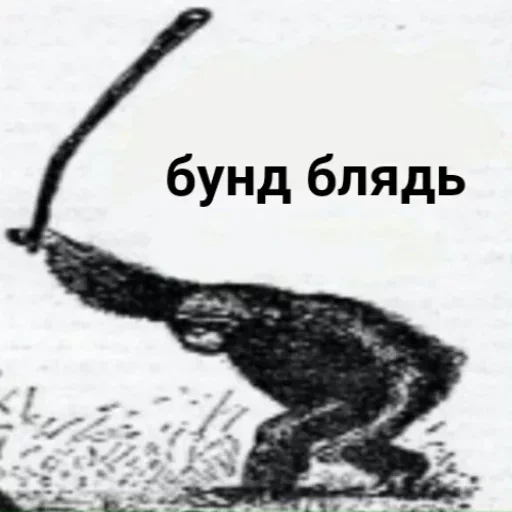 Sticker В ебало дам by @fStikBot - 8