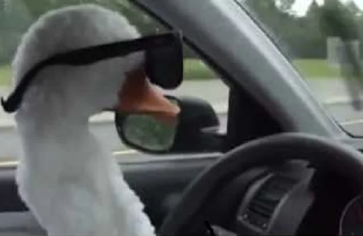 Стикер FromPolyStikers - 1