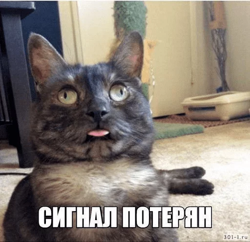 Стикер FromPolyStikers - 1