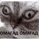 Стикер От Поли 😎 - 2