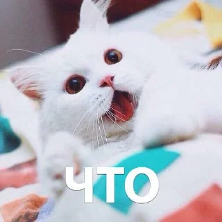 Стикер кусь - 3