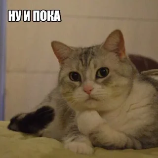 Стикер кусь - 5