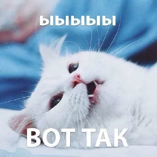 Стикер кусь - 10