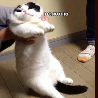 Стикер кусь - 1