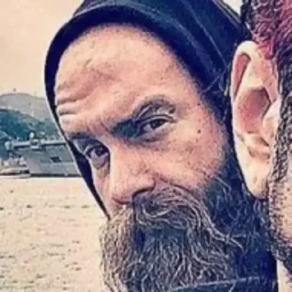 human beard man human face