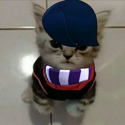 Солянка | @m1khailbr_stickerbot - 