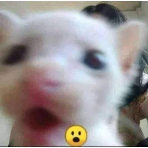 Sticker Ftoohffuophdwwy_by_m1khailbr_stickerbot - 1