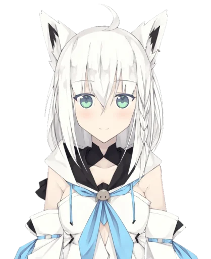 Fubuki Shirakami Pack - 