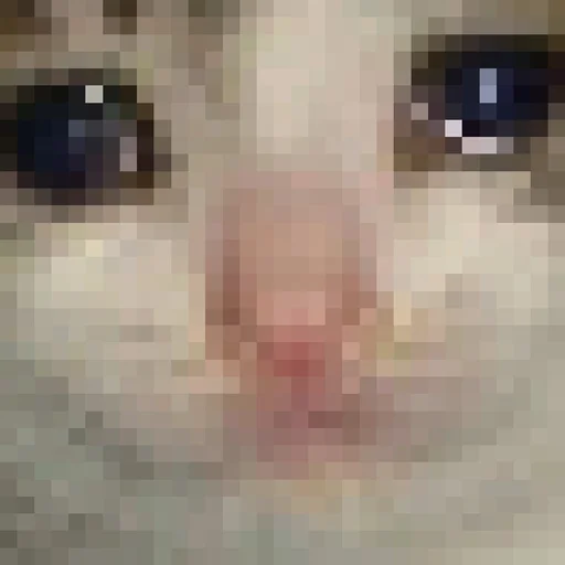 Sticker ShittyMemes - 7