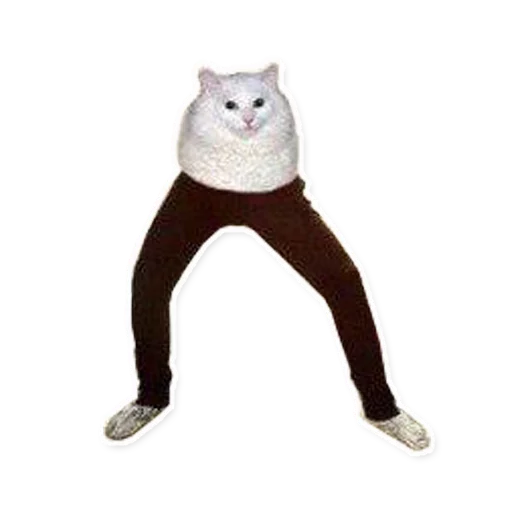 кошка млекопитающее животное