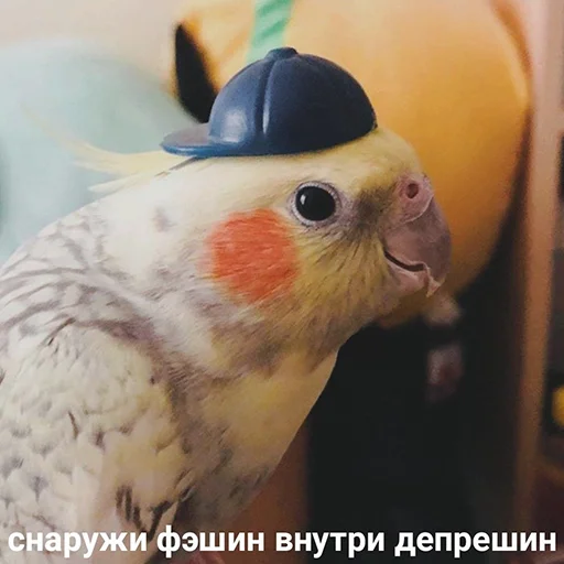 Стикер FuckinParrots - 1