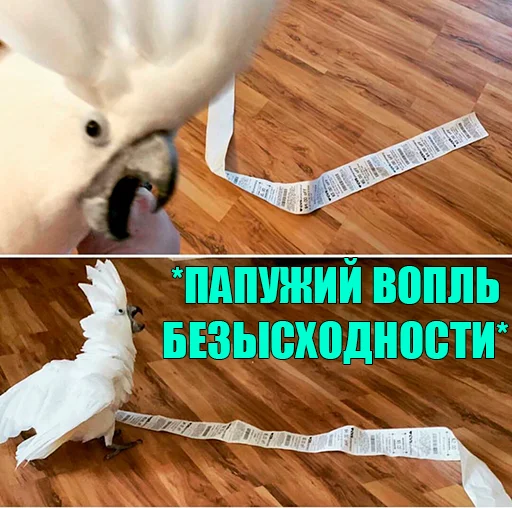 Sticker FuckinParrots - 1