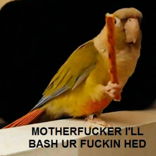 Sticker FuckinParrots - 1