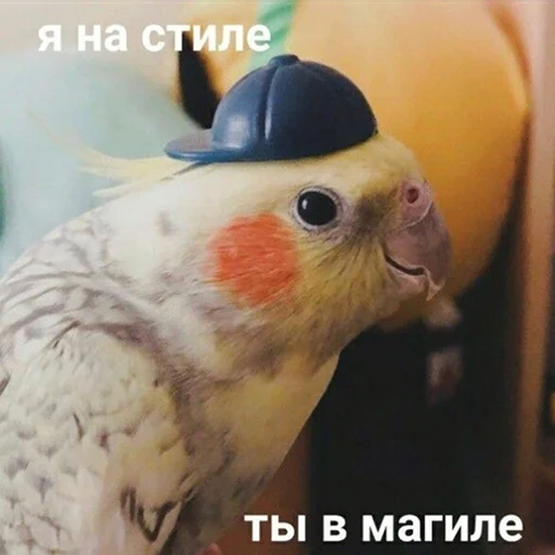 Стикер FuckinParrots - 1