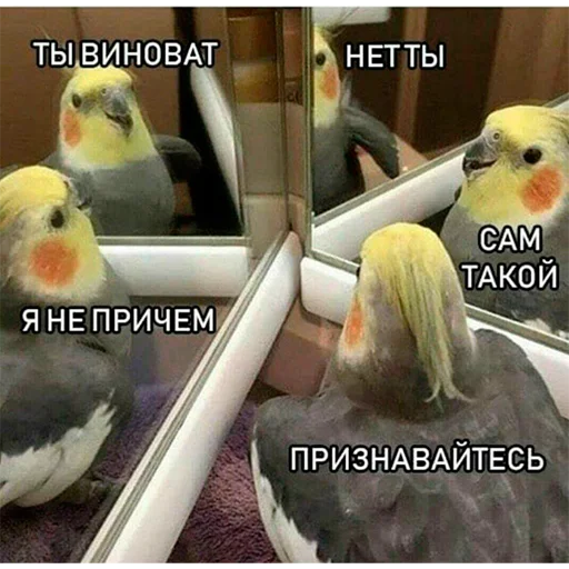 Стикер FuckinParrots - 1
