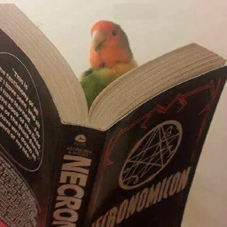 Стикер Parrots - 11