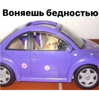 Стикер Parrots - 10