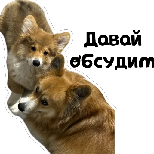 Sticker Fudzhin9 - 1