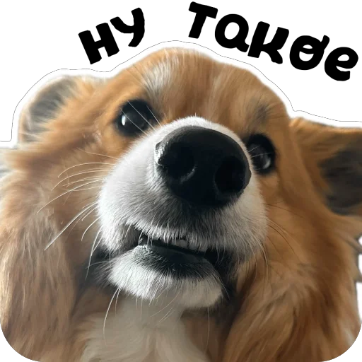 Sticker Fudzhin9 - 1