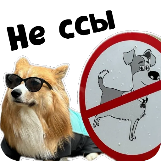 Sticker Fudzhin9 - 1