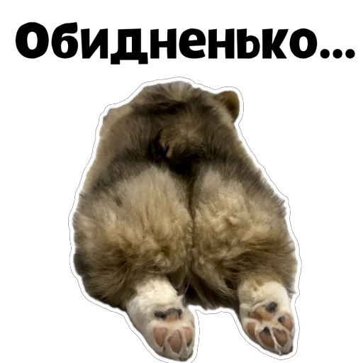 Sticker Fudzhin9 - 1