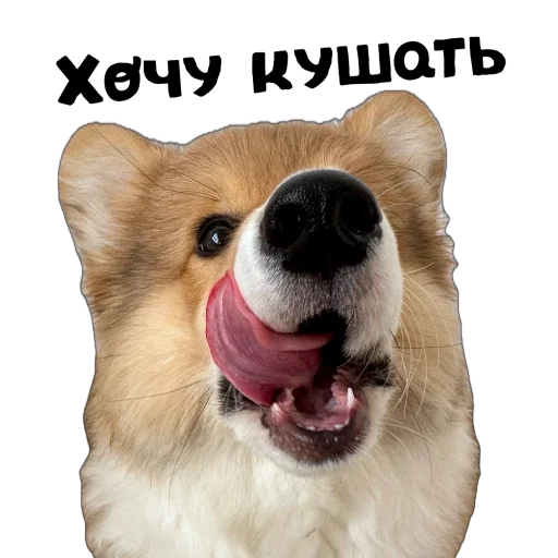 Sticker Fudzhin9 - 1