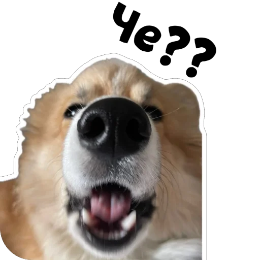 Sticker Fudzhin9 - 1