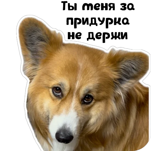 Sticker Fudzhin9 - 1