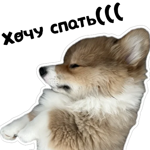 Sticker Fudzhin9 - 1