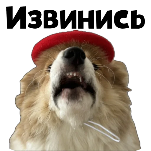 Sticker Fudzhin9 - 1