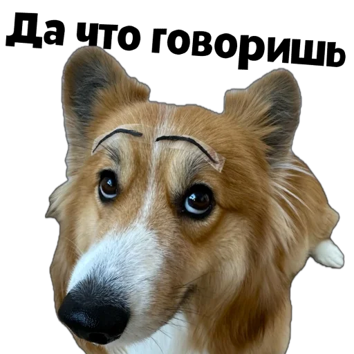 Sticker Fudzhin9 - 1