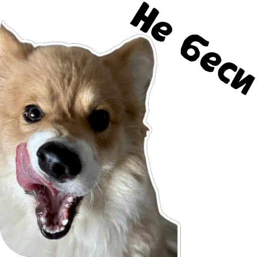 Sticker Fudzhin9 - 1