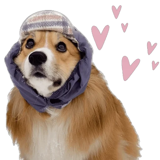 Sticker Fudzhin9 - 1