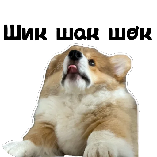 Sticker Fudzhin9 - 1