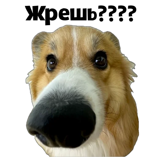 Sticker Fudzhin9 - 1