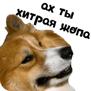 Sticker UnderDogs - 7