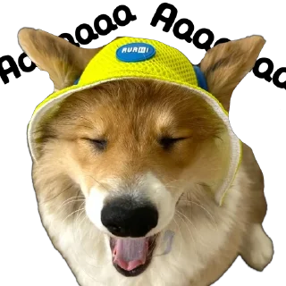 Sticker UnderDogs - 5